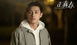 正青春电视剧,青春追梦，奋斗无悔的青春之歌